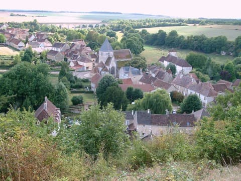 Ramoneur Druyes-les-Belles-Fontaines
